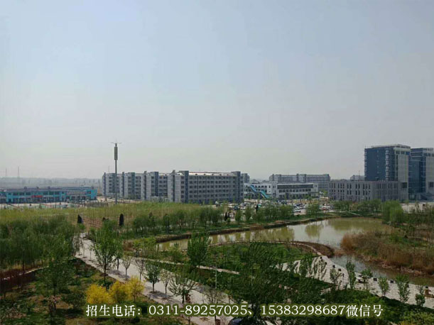 石家庄医学高等专科学校春日美景024.jpg