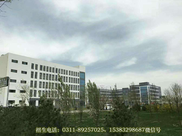 石家庄医学高等专科学校春日美景010.jpg