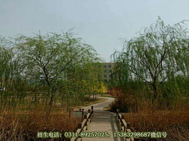 石家庄医学高等专科学校春日美景021.jpg