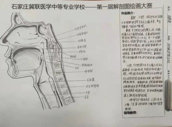 石家庄冀联医学院口腔医学图片.png