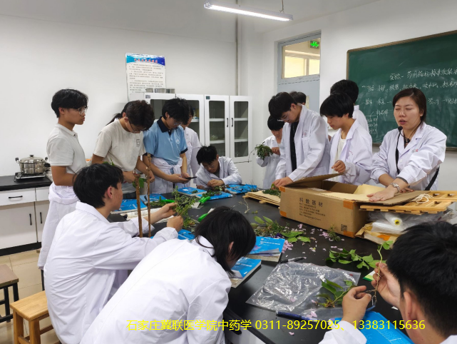 石家庄冀联医学院中药学好不好.png