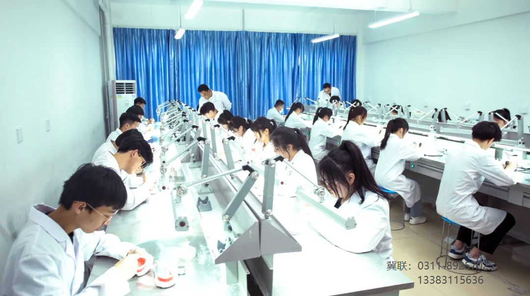 口腔修复工艺专业.png