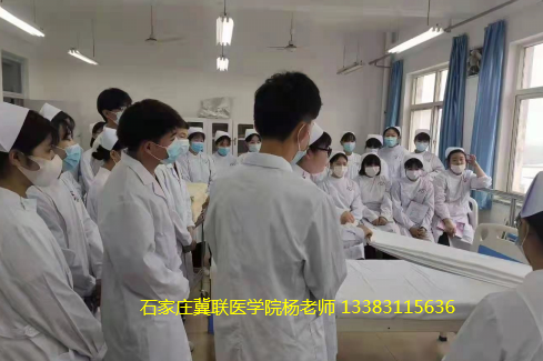 石家庄冀联医学院2024年录取分数多少？