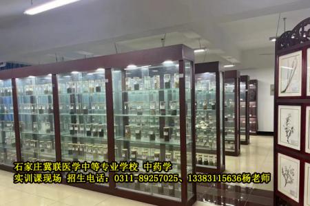 中药学：药店药企缺口大，考证简单工作稳定